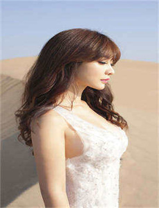 药效H1V2司墨/421页完整版在线