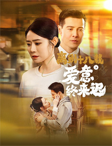 精灵宝可梦:皮卡丘的探险队