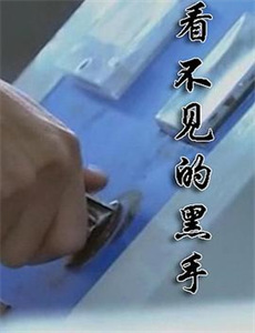 重回沉府掠春光