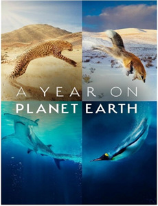 阿涅斯论瓦尔达