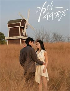 海盗2:鬼怪的旗帜