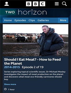 偏执温少的大佬夫人